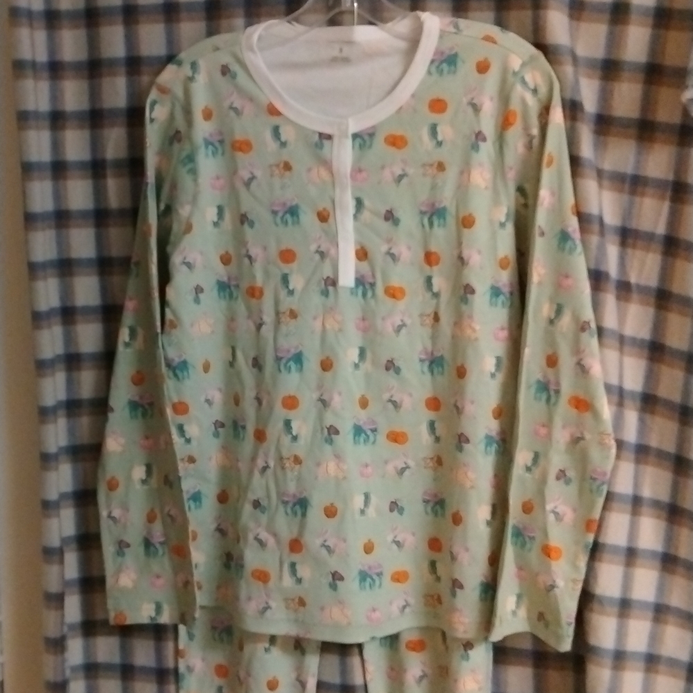 ROBERTA ROLLER RABBIT (SAGE) Pumpkin Spice Womens NEW 2 PC, L/S Set.